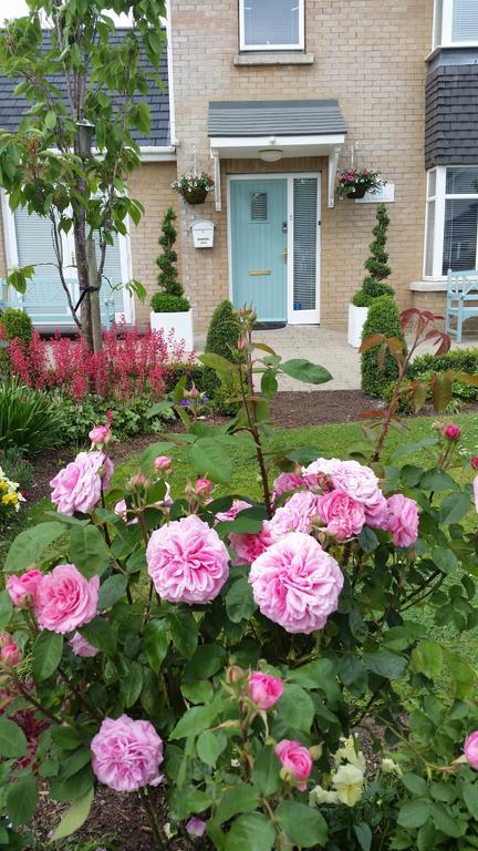 No.5 Bed & Breakfast Kilcullen Экстерьер фото