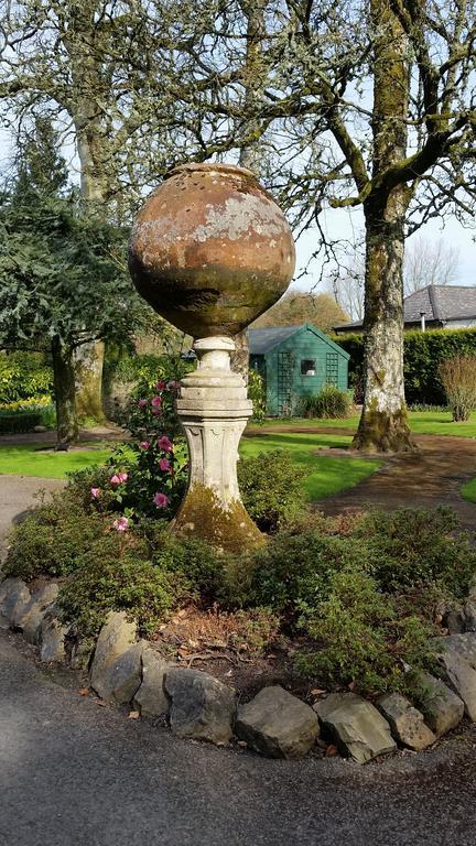 No.5 Bed & Breakfast Kilcullen Экстерьер фото