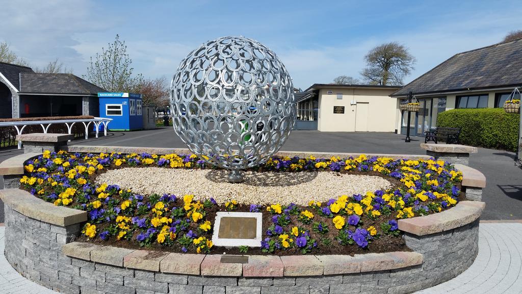 No.5 Bed & Breakfast Kilcullen Экстерьер фото